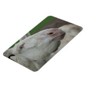Weißbarocke Donkey Magnet (Linke Seite)