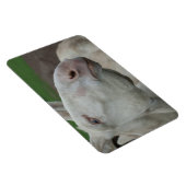 Weißbarocke Donkey Magnet (Rechte Seite)