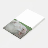 Weißbarocke Donkey Post-it Klebezettel (angewinkelt)