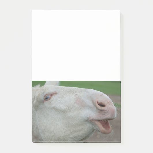 Weißbarocke Donkey Post-it Klebezettel (Vorderseite)