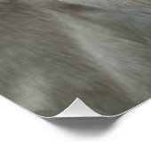 Weißbarocke Donkey Poster (Ecke)