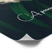 Weißbäuche Poster (Ecke)