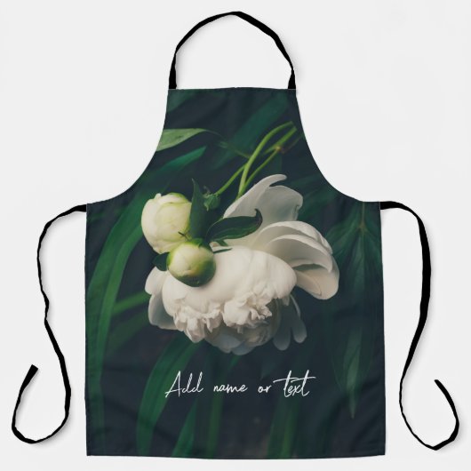 Weißbäuche Schürze (Vorderseite)