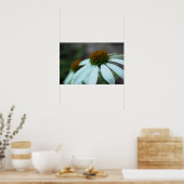 Weißblättern, Blume (Plakatdruck) Poster (Küche)