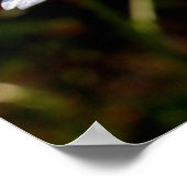 Weißblättern Poster (Ecke)