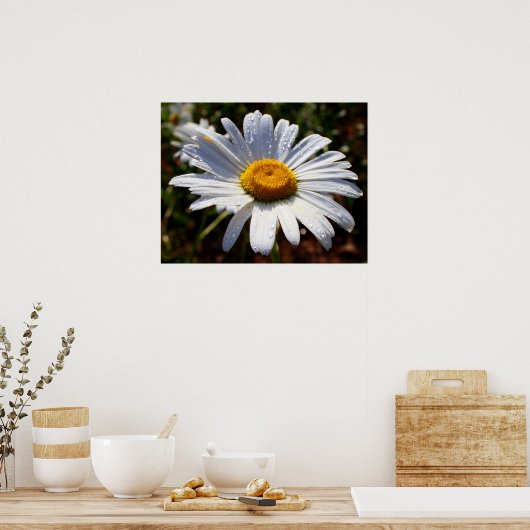 Weißblättern Poster (Küche)