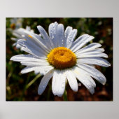 Weißblättern Poster (Vorne)