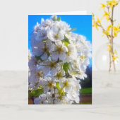 Weißblühende Birnenstange im Frühjahr Karte (Gelbe Blume)