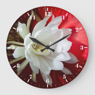 Weißblühende Kakteen  Große Wanduhr