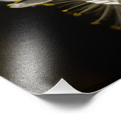 Weißblüten Foto Erweiterung (Ecke)