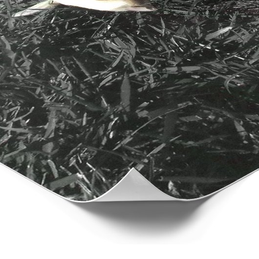 Weißboxposter Poster (Ecke)