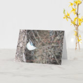 Weißbrühe Karte (Gelbe Blume)