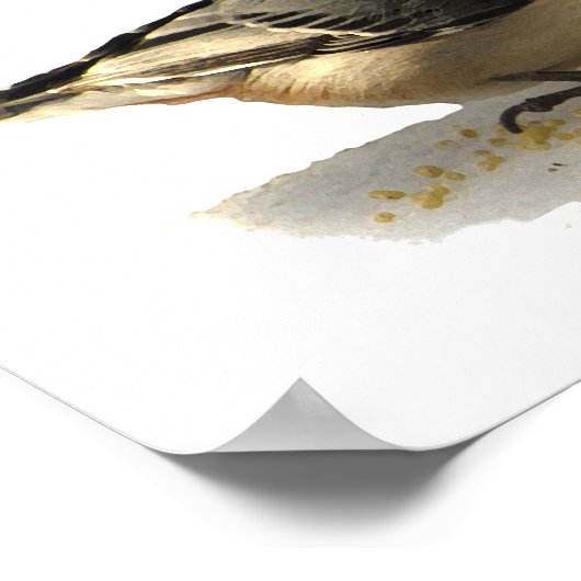 Weißbrühe Poster (Ecke)