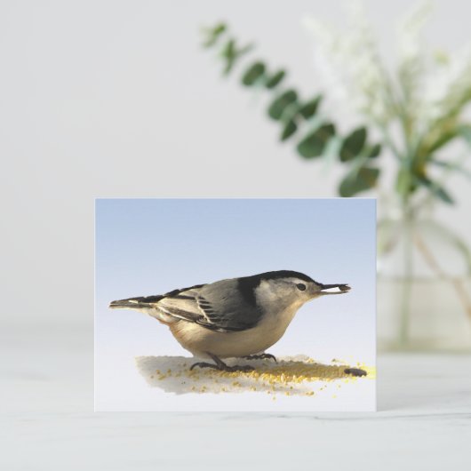 Weißbrühe Postkarte (Stehend Vorderseite)