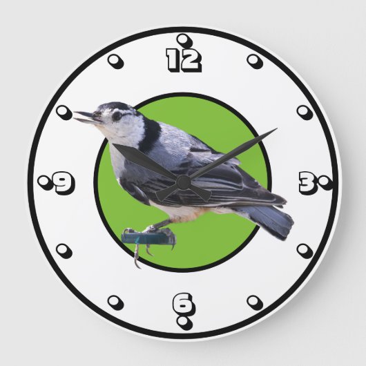 Weißbrüste Große Wanduhr (Vorderseite)
