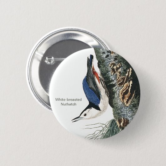 Weißbrüste, Vogelmode von Audubon Button (Vorne & Hinten)