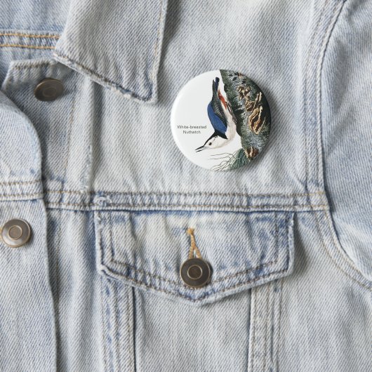 Weißbrüste, Vogelmode von Audubon Button (Beispiel)