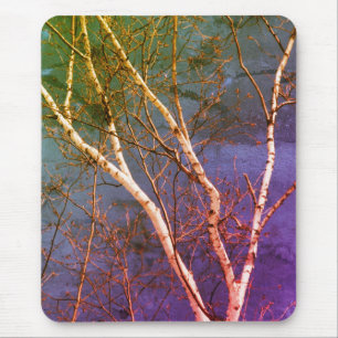 Weißbuch Birch Tree Blue Sky Nature Art Mousepad