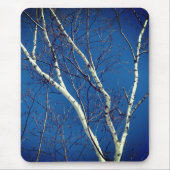Weißbuch Birch Tree Blue Sky Nature Mousepad (Vorne)
