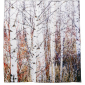 Weißbuch Birkenwälder Duschvorhang (Vorderseite)