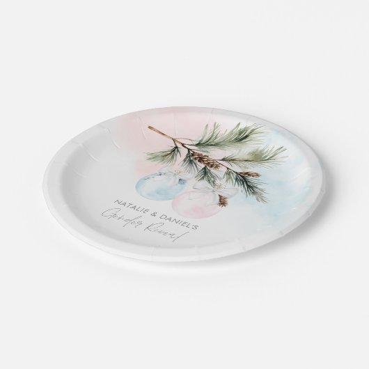 Weißbuch für das Wintergeschlecht Pappteller (Schrägansicht)