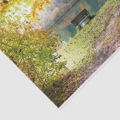 Weißbuchtenpapier für Herbst Seidenpapier (Ausschnitt)