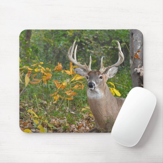 Weißbuck im Wald Mousepad (Mit Mouse)