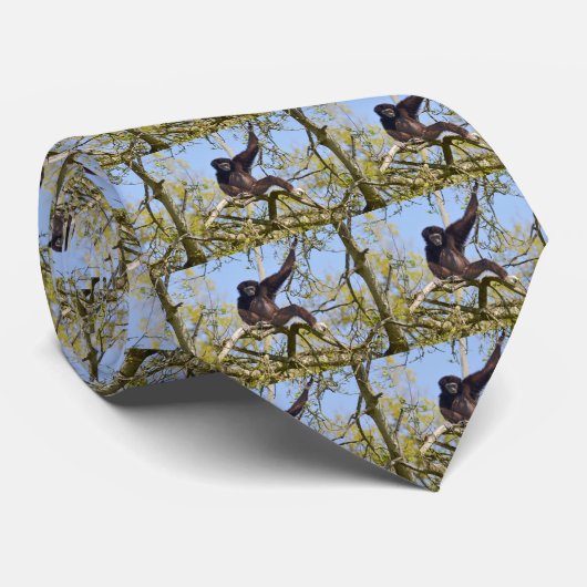 Weißbüffel im Baum Krawatte (Gerollt)