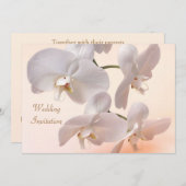 Weißcreme-Orchideen Einladung Hochzeit (Vorne/Hinten)