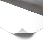 Weißdeutscher Hirte Poster (Ecke)