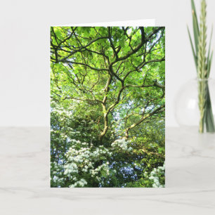 Weißdorn und Eiche Handfasting Karte