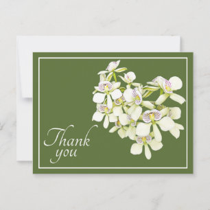 Weiße Adern-Orchideen Grüner Hintergrund Danke Postkarte