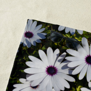 Weiße afrikanische Daisien in Bloom, Strandtuch