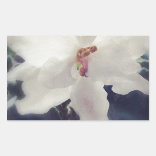 Weiße afrikanische ViolettBlume Rechteckiger Aufkleber (Vorderseite)