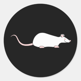 Weiße Albino Ratte. Runder Aufkleber