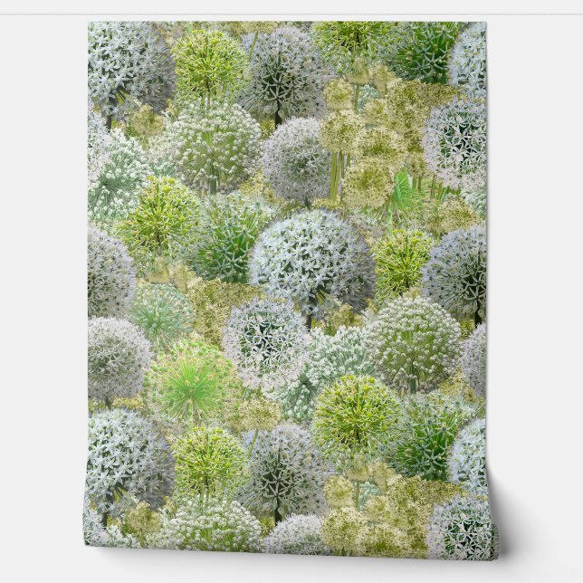 Weiße Alliums Tapete (Abrollen)