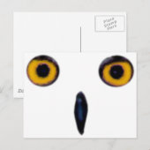 Weiße alte Augen Postkarte (Vorne/Hinten)