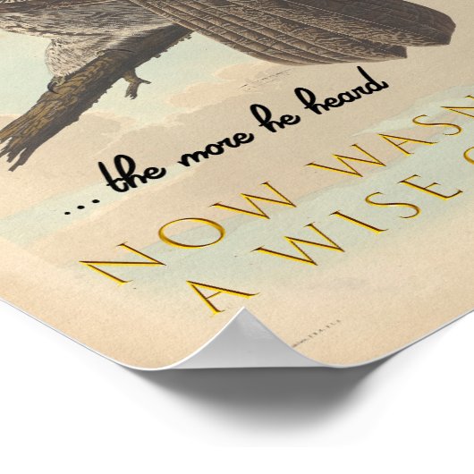 Weiße alte Eule Poster (Ecke)