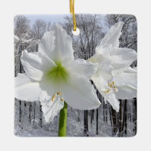 Weiße Amaryllis und Schnee I Keramikornament