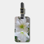 Weiße Amaryllis und Weihnachtsbaum Gepäckanhänger (Vorderseite vertikal)