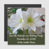 Weiße Amaryllis und Weihnachtsbaum Magnetkarte (Vorne/Hinten)