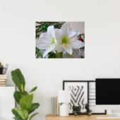 Weiße Amaryllis und Weihnachtsbaum Poster (Heimbüro)