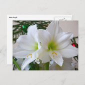 Weiße Amaryllis und Weihnachtsbaum Postkarte (Vorne/Hinten)