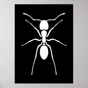 Weiße Ameisen-Plakat Poster