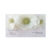 Weiße Anemone zur Textur