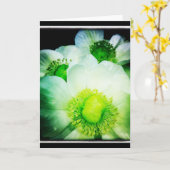 Weiße Anemonen-Raum-Gruß-Karte Karte (Gelbe Blume)