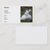 Weiße Angora-Kaninchen-Visitenkarte Visitenkarte (Vorne/Hinten)