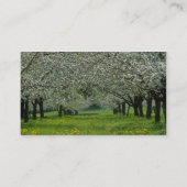 weiße Apfelbaum-Blumen Visitenkarte (Rückseite)