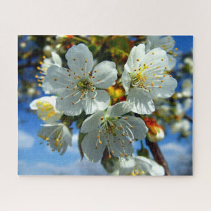 Weiße Apfelblüten Puzzle
