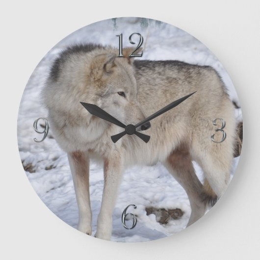 Weiße arktische Wolf-und Schnee-Tier-Kunst-Uhr Große Wanduhr (Vorderseite)